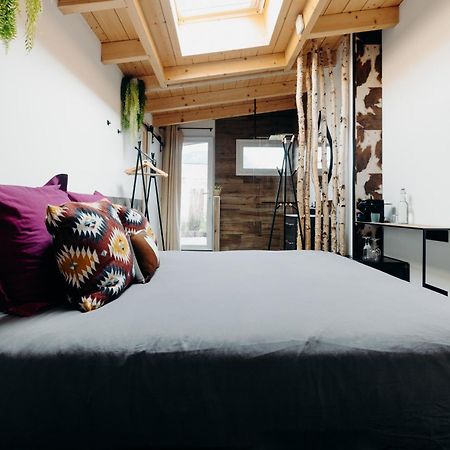 La Villa D'Helene 2 - Chambres D'Hotes Bnb Et Appartements - Cluses Dış mekan fotoğraf